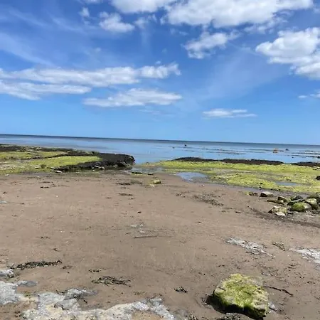 Frida By The Sea * Robin Hood's Bay